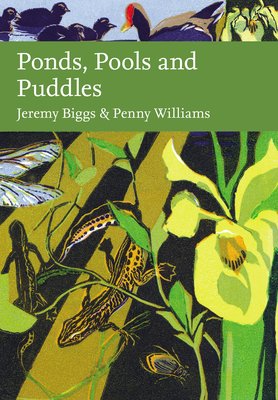 Ponds, Pools and Puddles (Biggs Jeremy)(Pevná vazba)