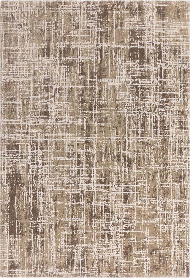 Béžový koberec 160x230 cm Kuza – Asiatic Carpets