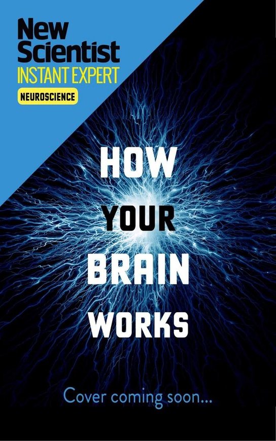 How Your Brain Works