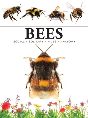 Bees (Jackson Tom)(Paperback)