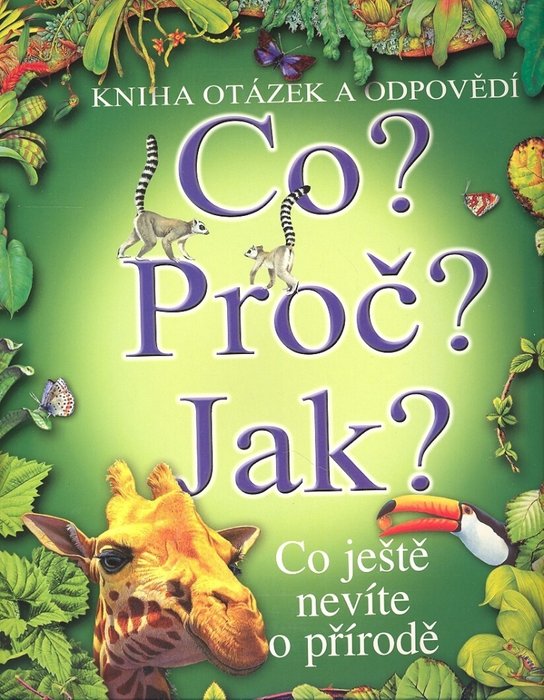 Co? Proč? Jak?