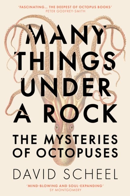 Many Things Under a Rock - The Mysteries of Octopuses (Scheel David)(Paperback / softback)