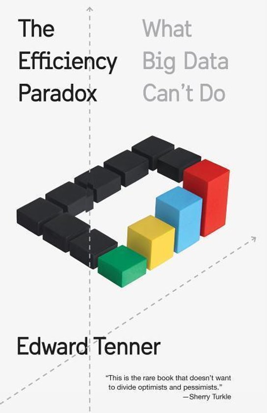 The Efficiency Paradox