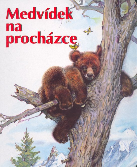 Medvídek na procházce