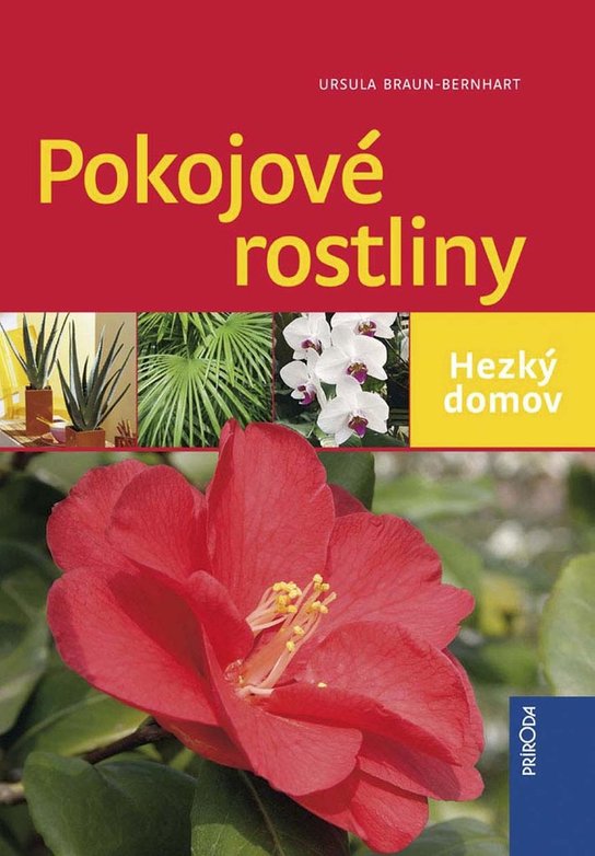 Pokojové rostliny