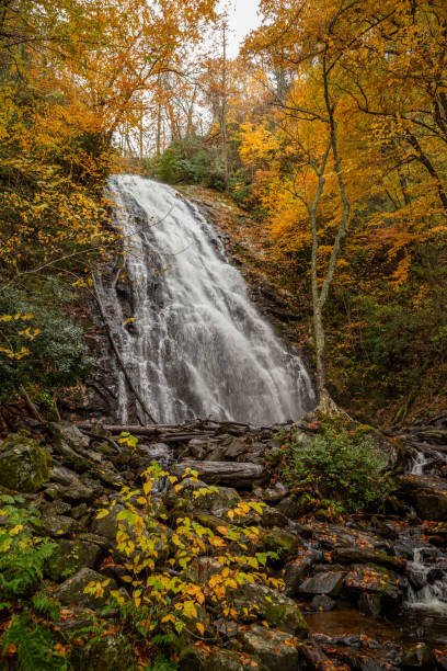 Cindy Robinson Umělecká fotografie Crabtree Falls, Cindy Robinson, (26.7 x 40 cm)