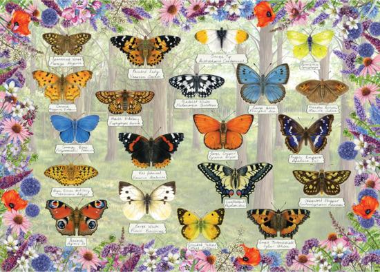 GIBSONS Puzzle Nádherní motýlci 1000 dílků
