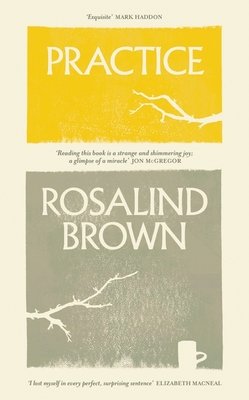 Practice (Brown Rosalind)(Pevná vazba)