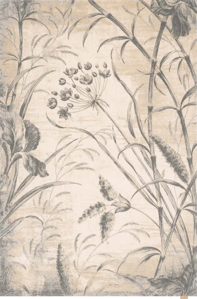 Krémový vlněný koberec 160x240 cm Botany – Agnella