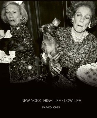 New York: High Life / Low Life (Jones Dafydd)(Pevná vazba)