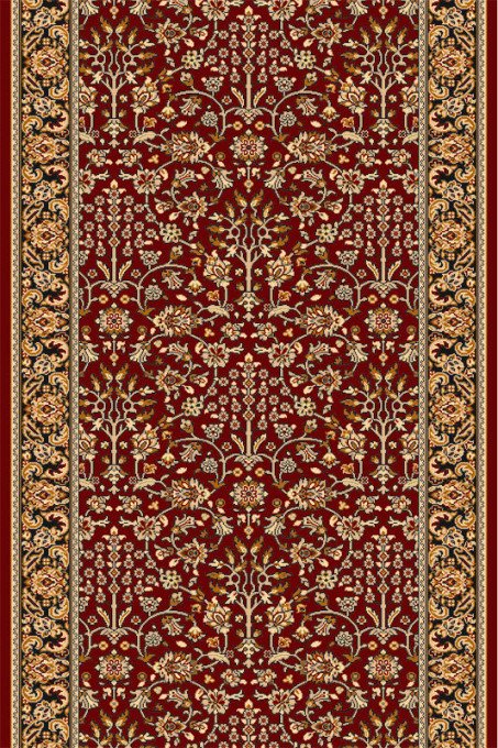 Běhoun Agnella Isfahan Itamar Rubin