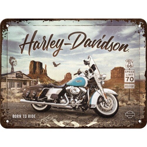 Postershop Plechová cedule Harley Davidson - Born to Ride, (20 x 15 cm)