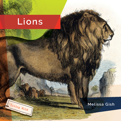 Lions (Hanel Rachael)(Paperback)