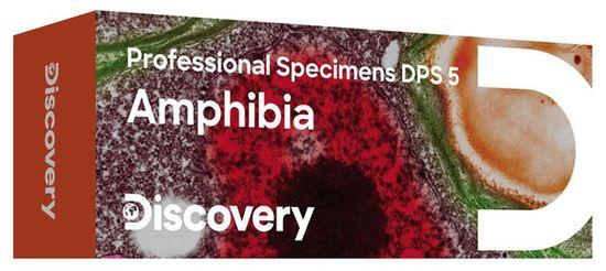 Discovery Prof Specimens DPS 5 Amphibia.