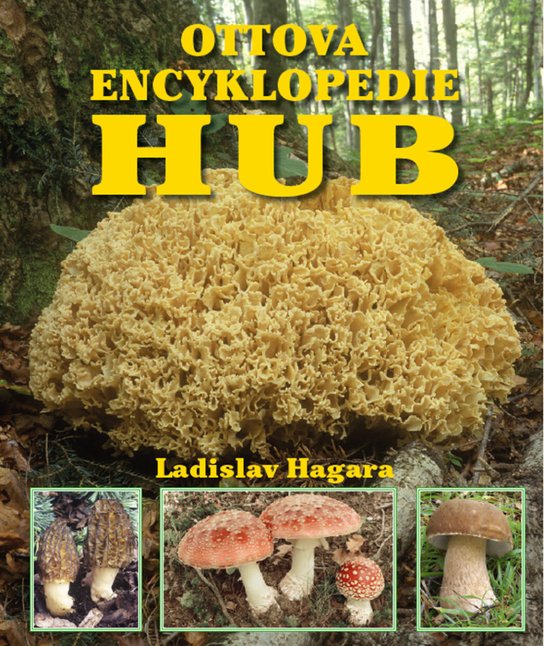 Ottova encyklopedie hub
