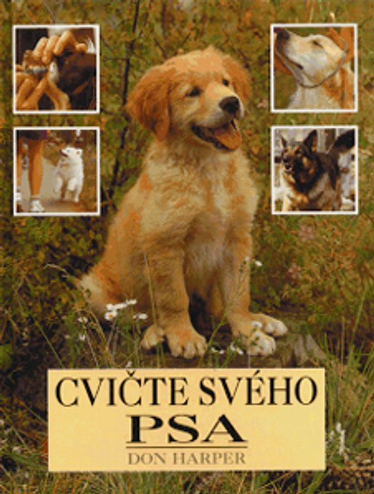 Cvičte svého psa