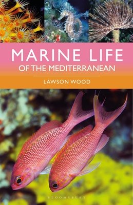 Marine Life of the Mediterranean (Wood Lawson)(Paperback)