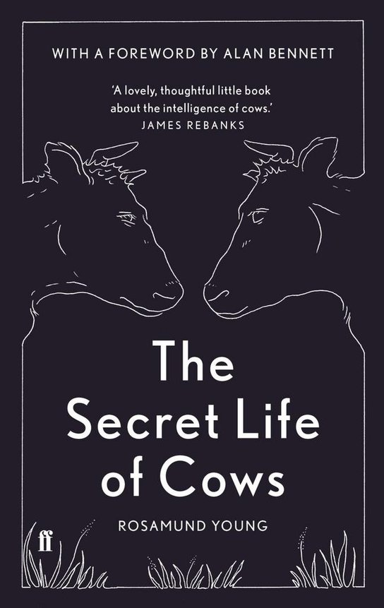 The Secret Life of Cows