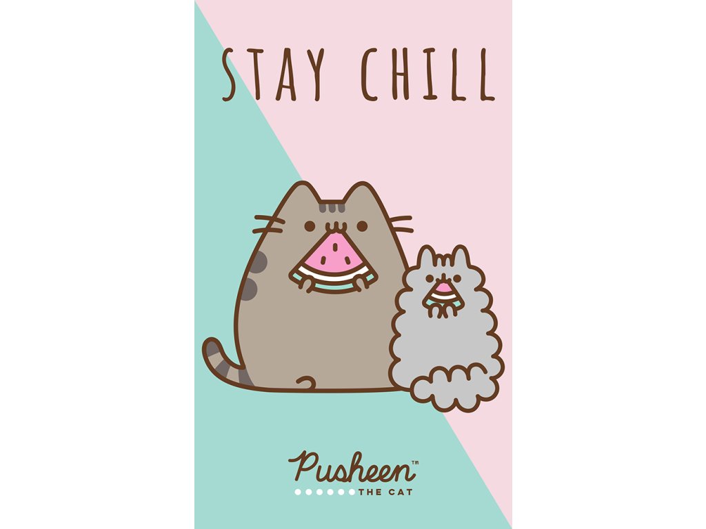 TipTrade Bavlněný froté ručníček 30x50 cm - Kočička Pusheen Stay Chill