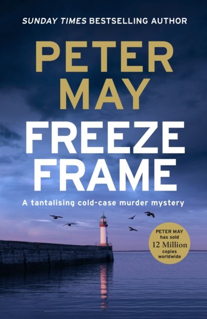 Freeze Frame - An engrossing instalment in the cold-case Enzo series (The Enzo Files Book 4) (May Peter)(Paperback / softback)