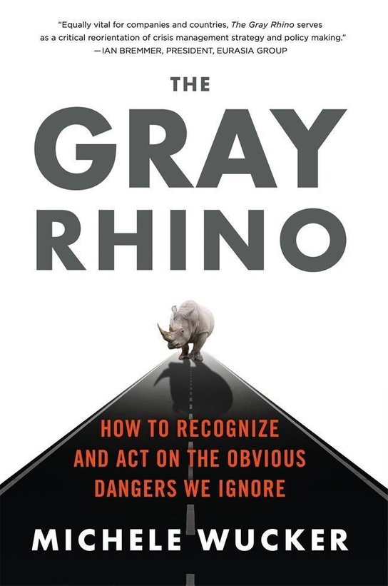 The Gray Rhino