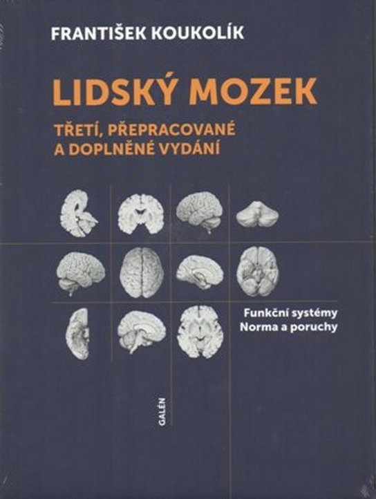Lidský mozek
