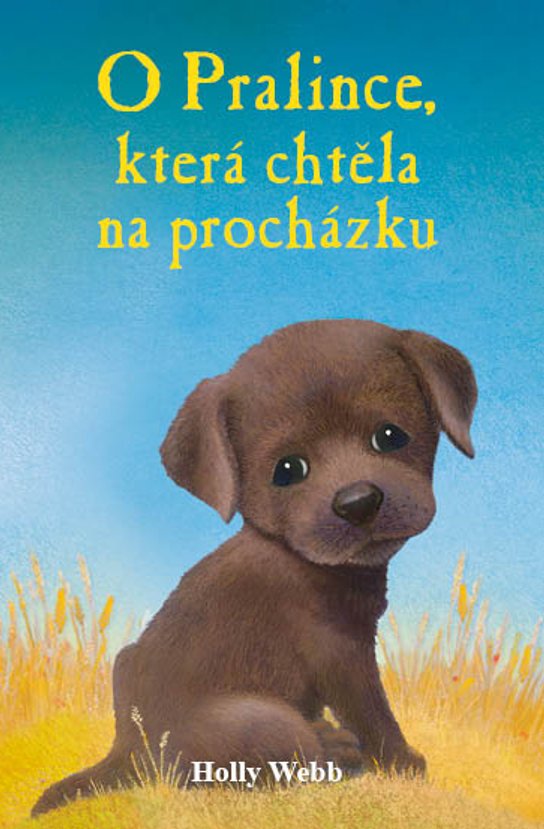 O pralince, která chtěla na procházku