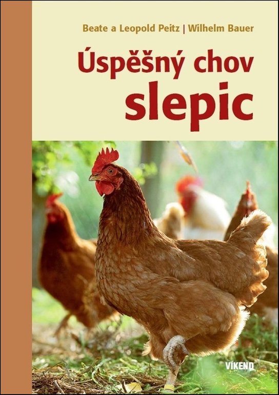 Úspěšný chov slepic