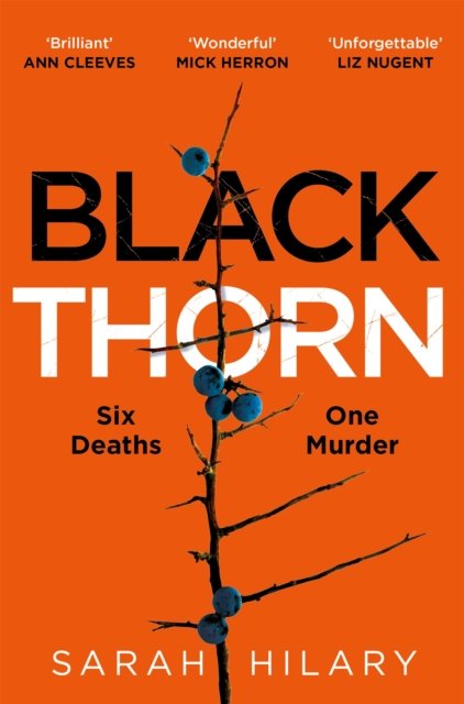 Black Thorn - A slow-burning, multi-layered mystery about families and their secrets and lies (Hilary Sarah)(Paperback / softback)