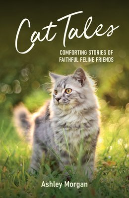 Cat Tales: Comforting Stories of Faithful Feline Friends (Morgan Ashley)(Paperback)