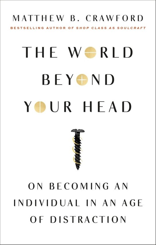 The World Beyond Your Head