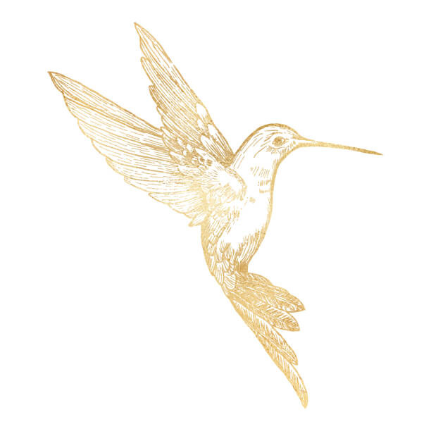 Gokcemim Ilustrace Gold Bee Hummingbird Isolated. Hand Painted, Gokcemim, (40 x 40 cm)