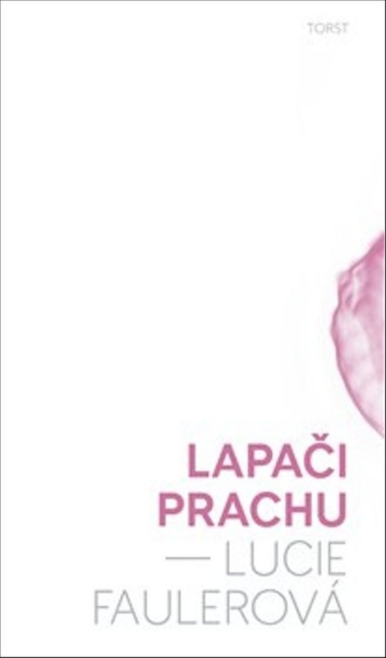 Lapači prachu