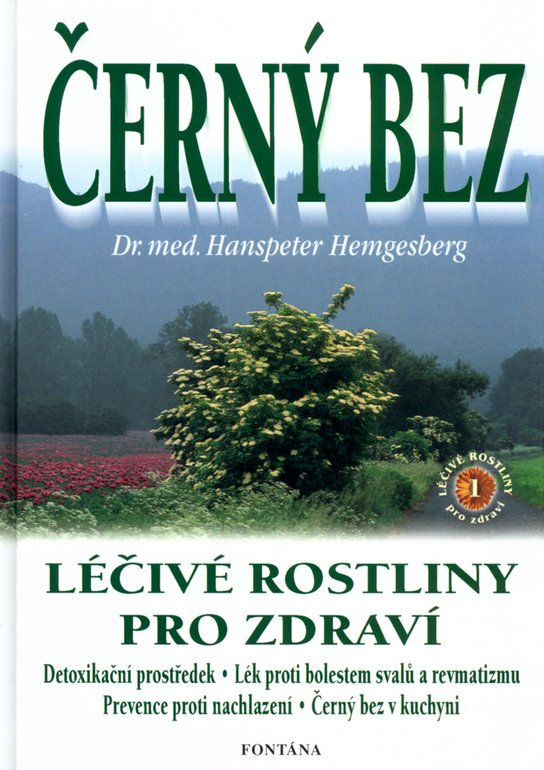 Černý bez
