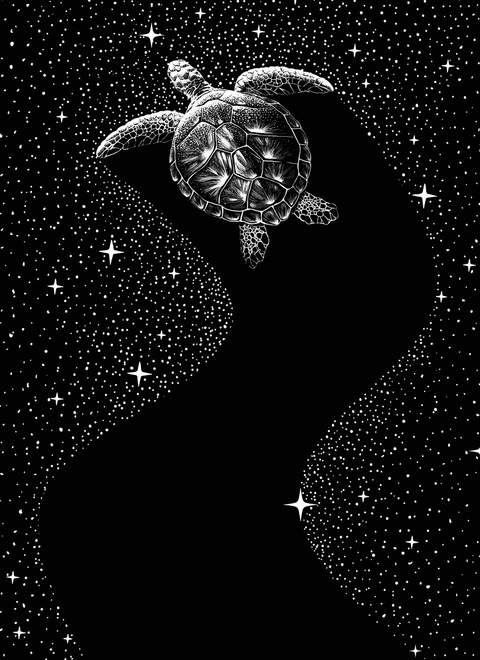 Aliriza Cakir Ilustrace Starry Turtle, Aliriza Cakir, (30 x 40 cm)