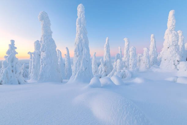 Roberto Moiola / Sysaworld Umělecká fotografie Trees covered with snow at dawn,, Roberto Moiola / Sysaworld, (40 x 26.7 cm)