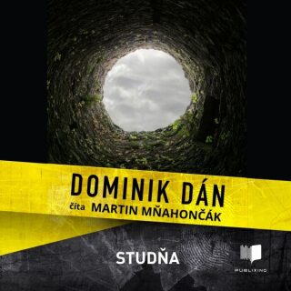 Studňa - Dominik Dán - audiokniha