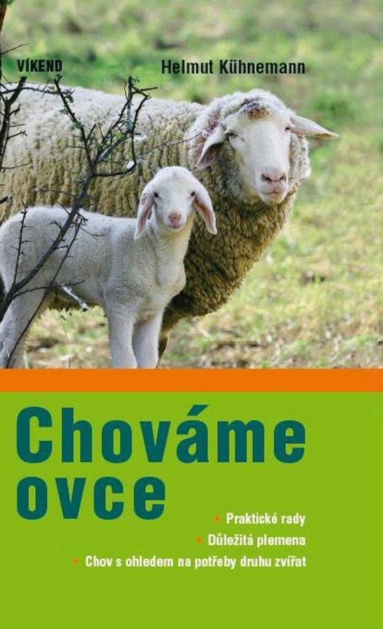 Chováme ovce