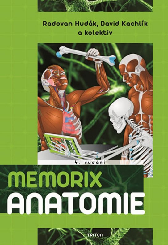 Memorix anatomie