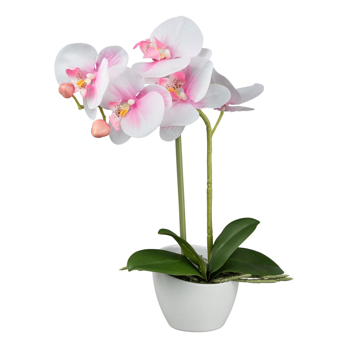 Gasper Orchidej v bílém melaminovém květináči, 33 cm, růžový 