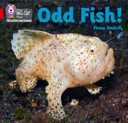 Odd Fish! - Band 02b/Red B (Undrill Fiona)(Paperback / softback)