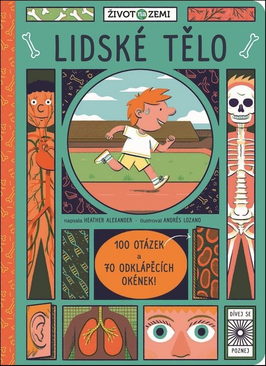 Život na Zemi Lidské tělo