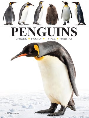 Penguins (Jackson Tom)(Paperback)