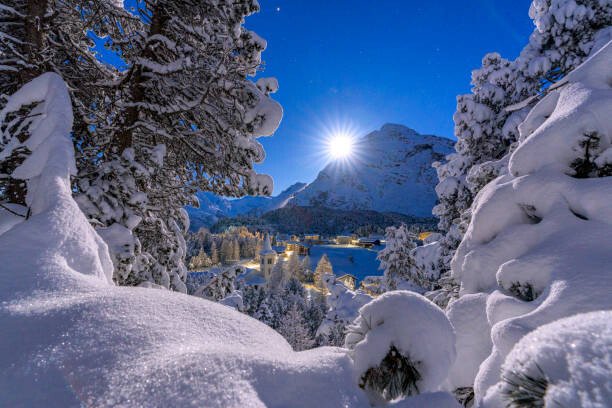 Roberto Moiola / Sysaworld Umělecká fotografie Snowy forest lit by moon in winter, Switzerland, Roberto Moiola / Sysaworld, (40 x 26.7 cm)