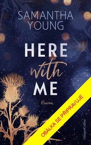 Jen se mnou - Samantha Young