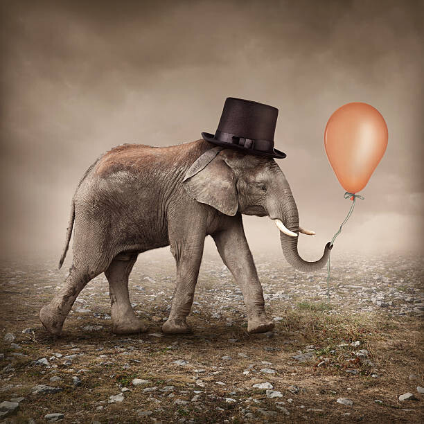 egal Ilustrace Elephant with a balloon, egal, (40 x 40 cm)