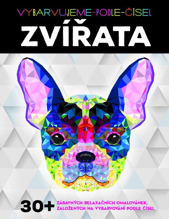 Vybarvujeme podle čísel Zvířata