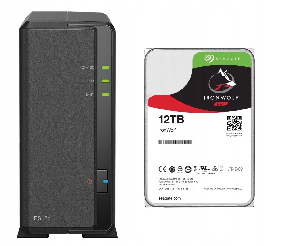 DS124 12TB Seagate IronWolf souborový server