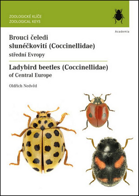 Brouci čeledi slunéčkovití (Coccinellidae)