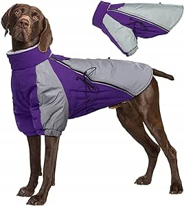 Bunda Pro psa Vodotěsné Teplé Oblečení Pro psa 3XL Fialovo-stříbrné